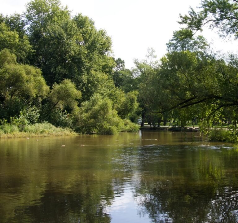 Soccer Field image 2