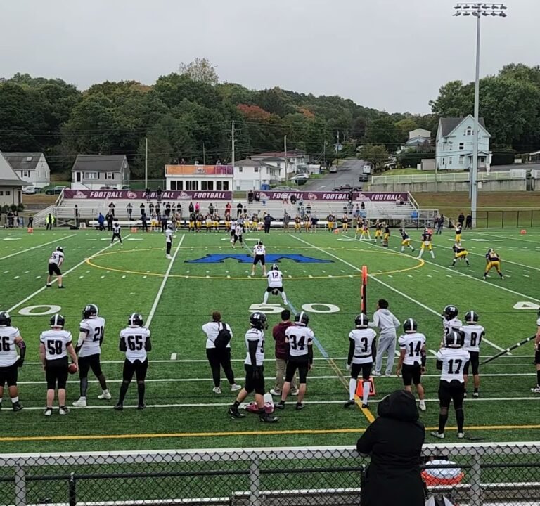 Soccer Field image 3