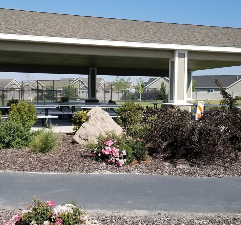 Soccer Field image 2