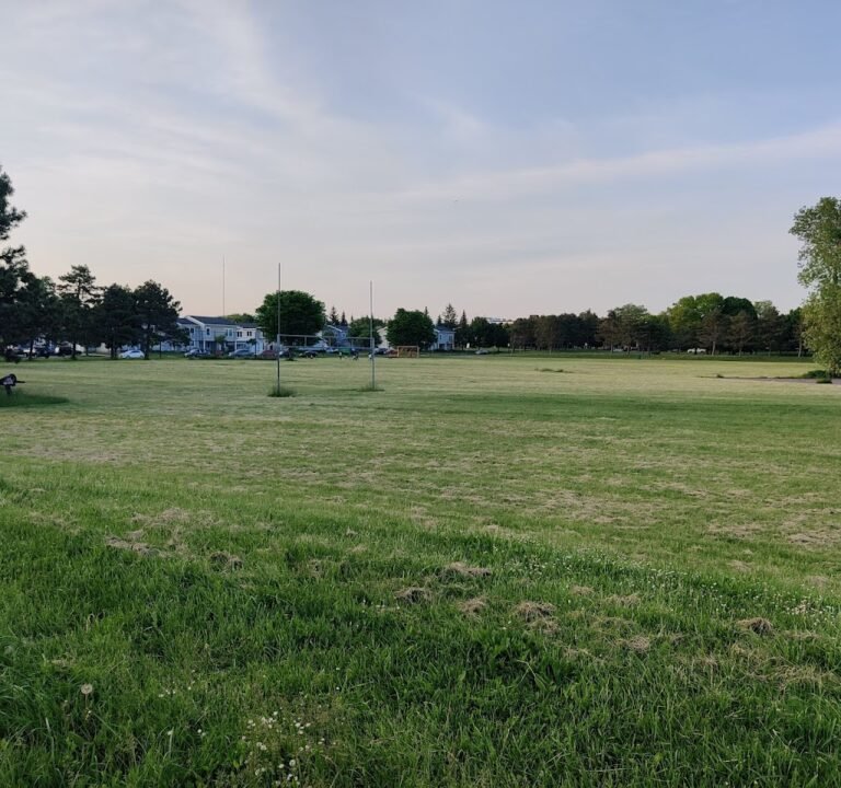 Soccer Field image 2