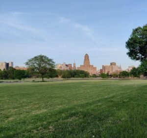 Soccer Field image 3