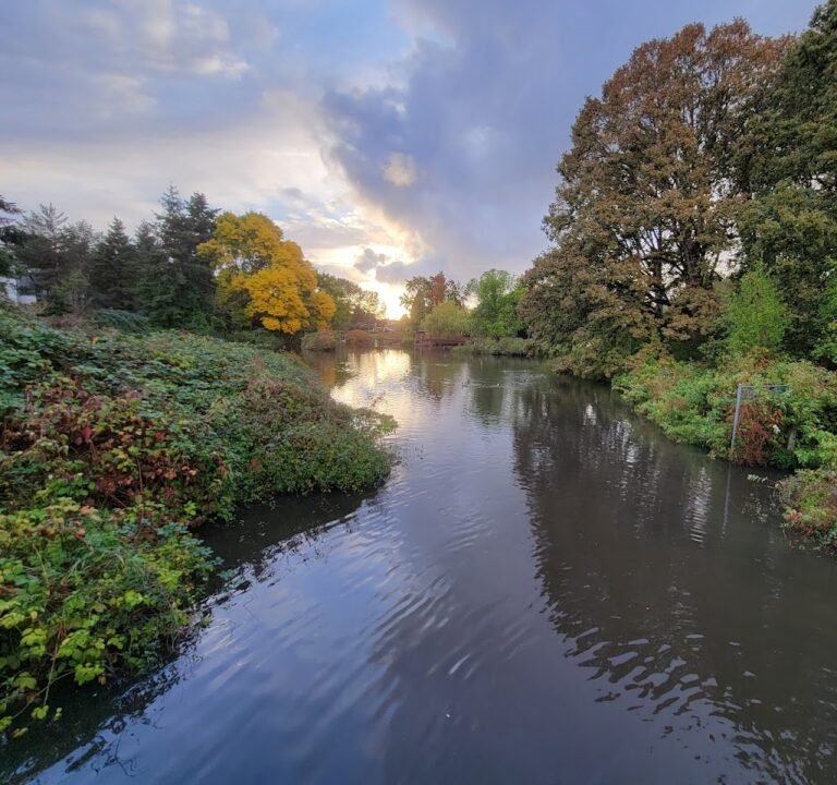 Soccer Field image 3