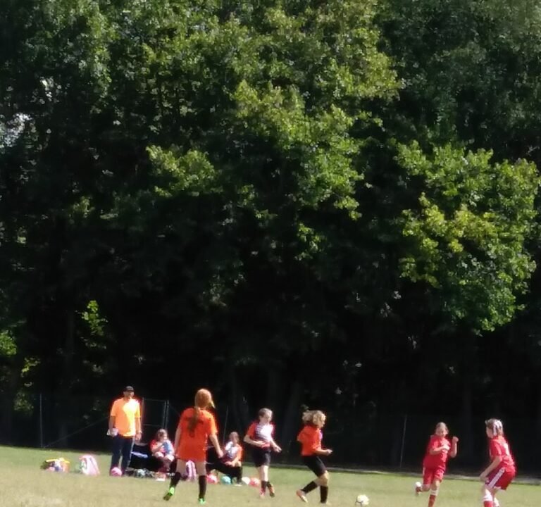 Soccer Field image 3