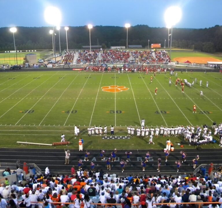 Soccer Field image 3