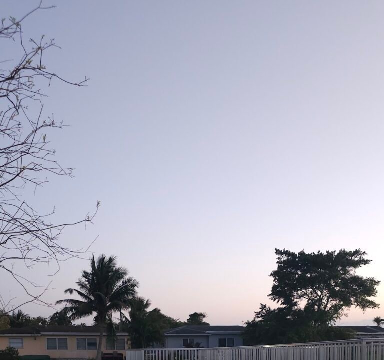 Soccer Field image 3