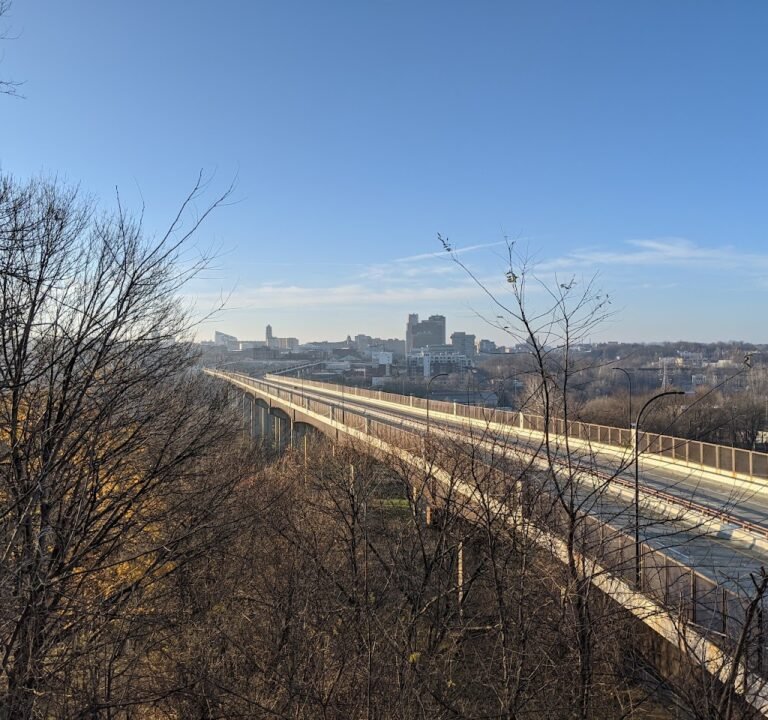 Soccer Field image 2