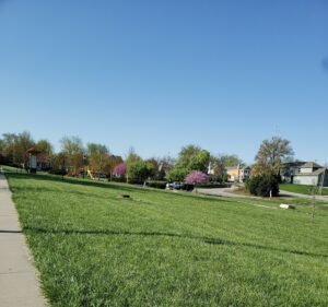 Soccer Field image 2