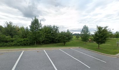 Soccer Field image 1