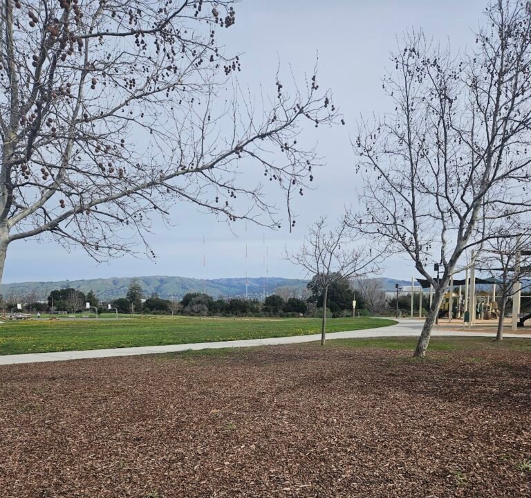 Soccer Field image 3