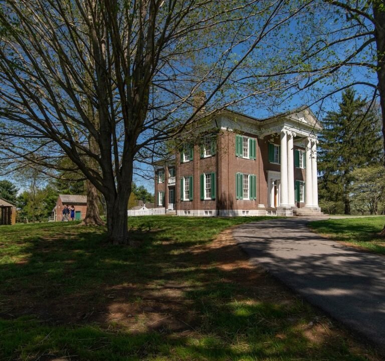 Soccer Field image 2