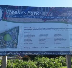 Soccer Field image 3