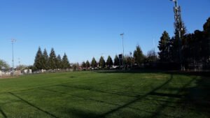 Soccer Field image 1