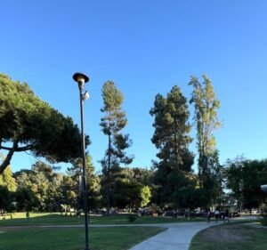 Soccer Field image 4