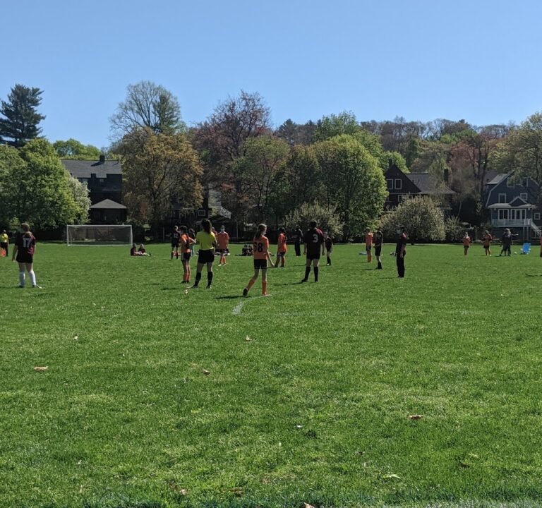 Soccer Field image 2