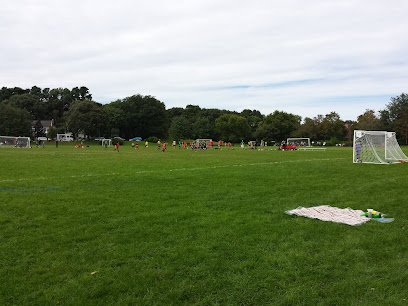 Soccer Field image 1