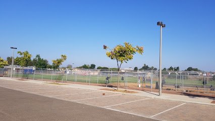 Soccer Field image 1