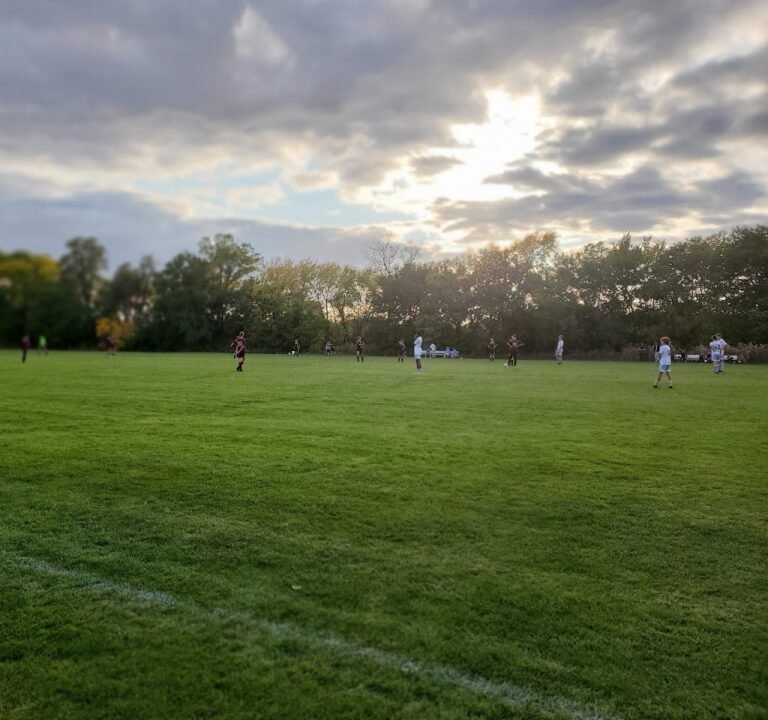 Soccer Field image 3