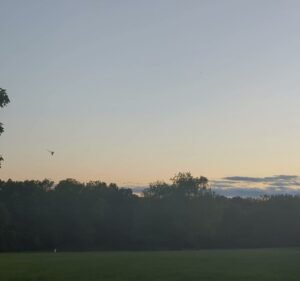 Soccer Field image 3