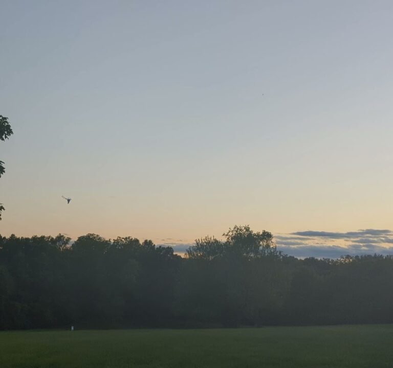 Soccer Field image 3