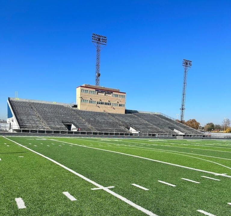 Soccer Field image 2