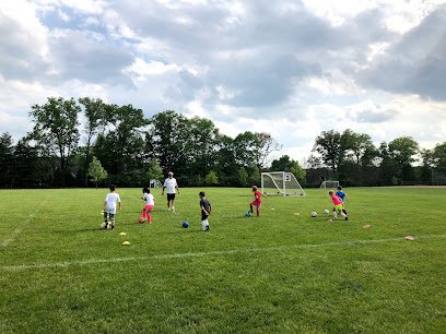 Soccer Field image 1