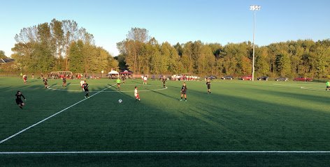 Soccer Field image 1
