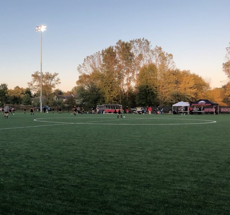 Soccer Field image 3