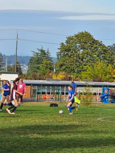 Soccer Field image 1