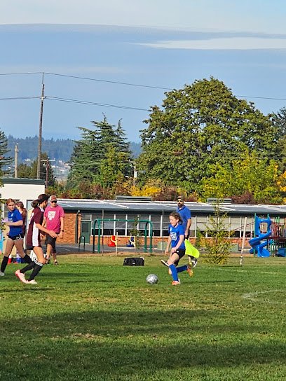 Soccer Field image 1
