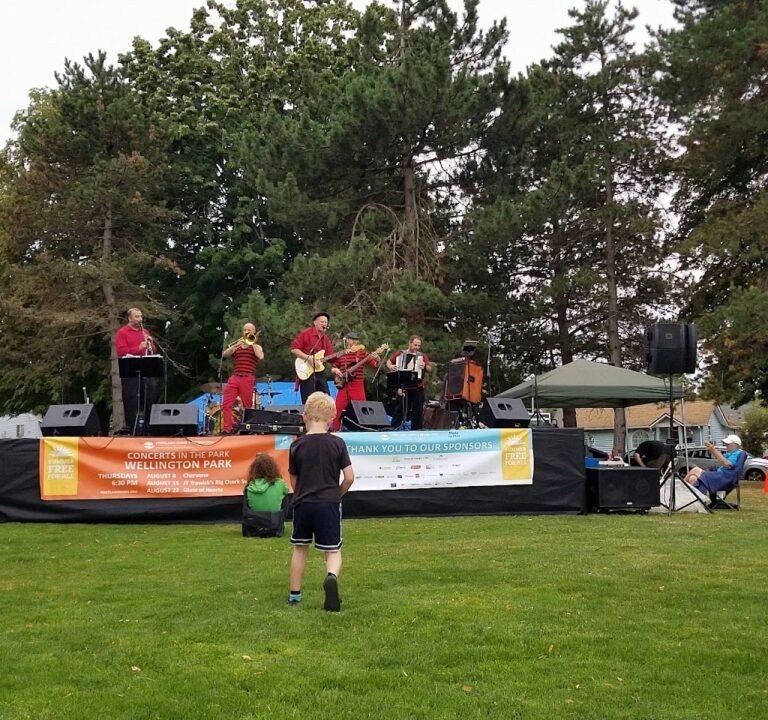 Soccer Field image 4