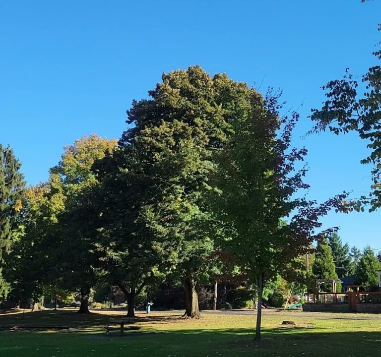 Soccer Field image 3