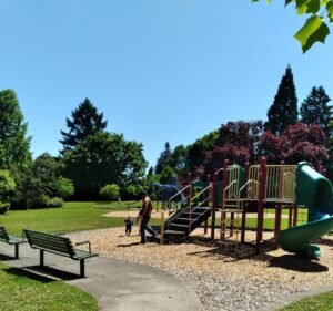 Soccer Field image 2