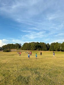 Soccer Field image 1