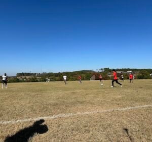 Soccer Field image 2
