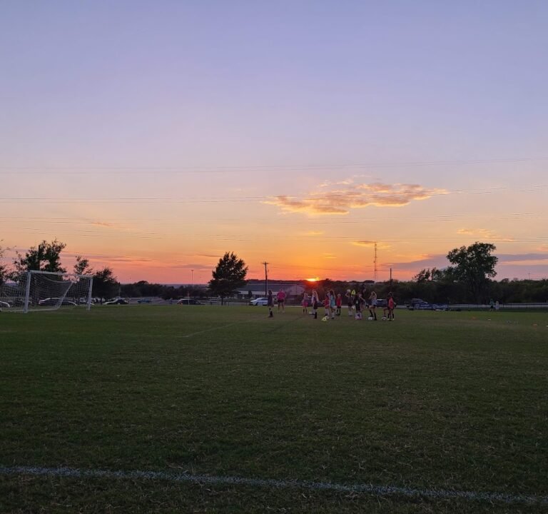 Soccer Field image 2