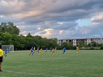 Soccer Field image 1