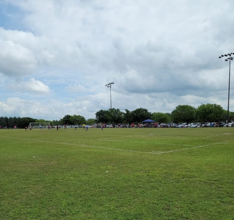 Soccer Field image 2