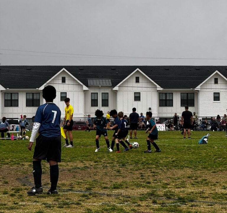 Soccer Field image 3