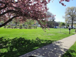 Soccer Field image 1