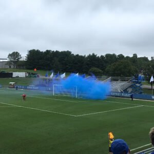 Soccer Field image 1