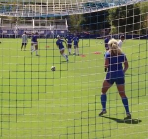 Soccer Field image 4