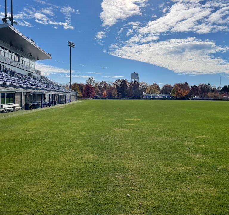 Soccer Field image 2