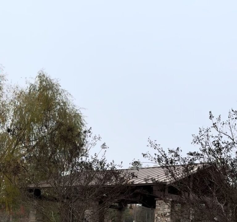 Soccer Field image 3