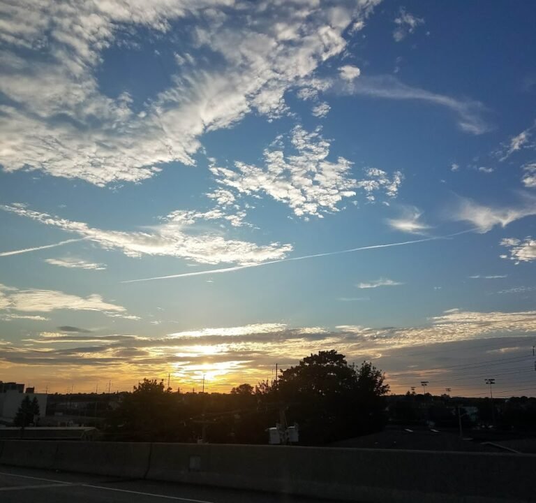 Soccer Field image 2