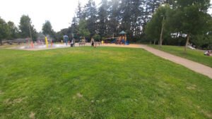 Soccer Field image 1