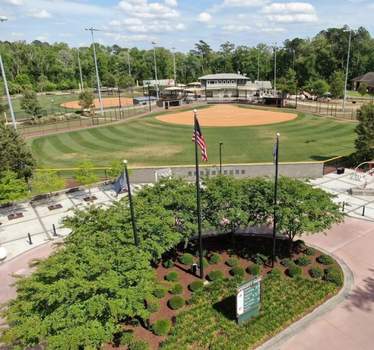 Soccer Field image 2