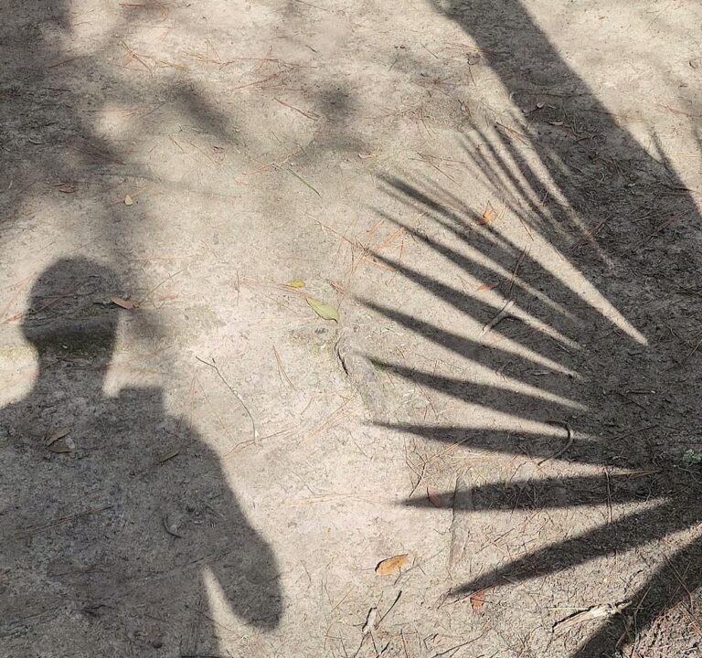 Soccer Field image 3