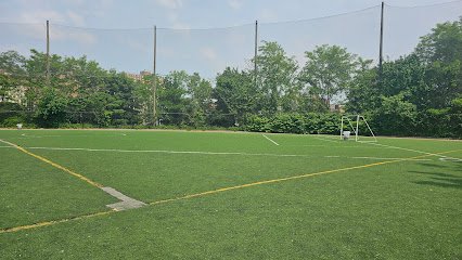 Soccer Field image 1