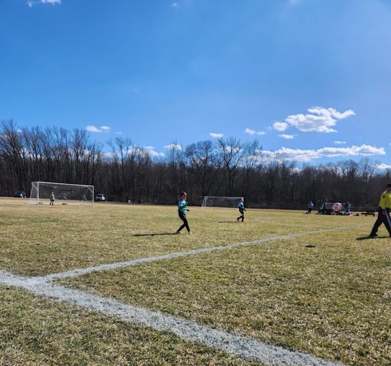 Soccer Field image 3