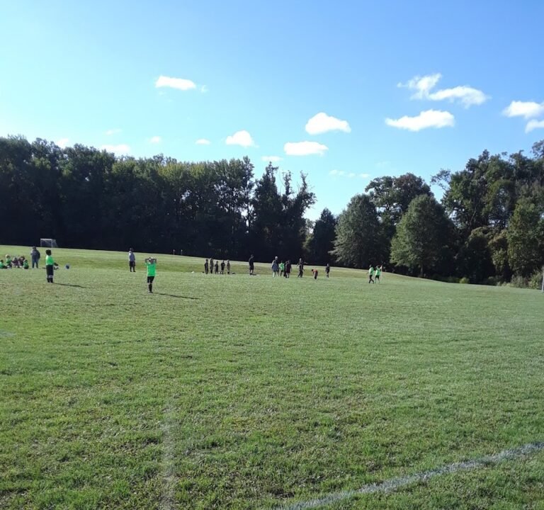 Soccer Field image 2